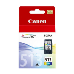 Canon 513 Ink