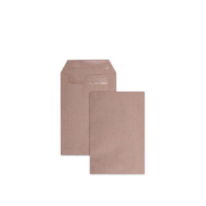 Wage Envelopes Plain Box 500